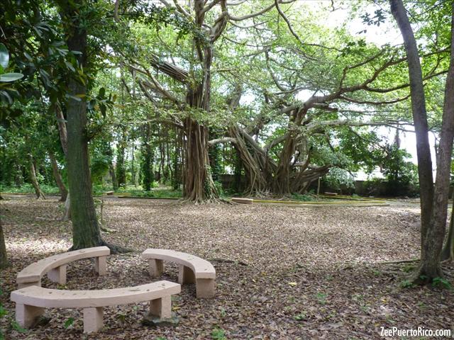 Parque Junghans ZeePuertoRico